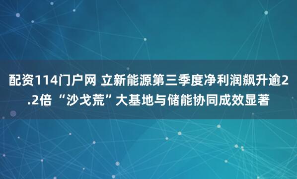 配资114门户网 立新能源第三季度净利润飙升逾2.2倍 “沙戈荒”大基地与储能协同成效显著