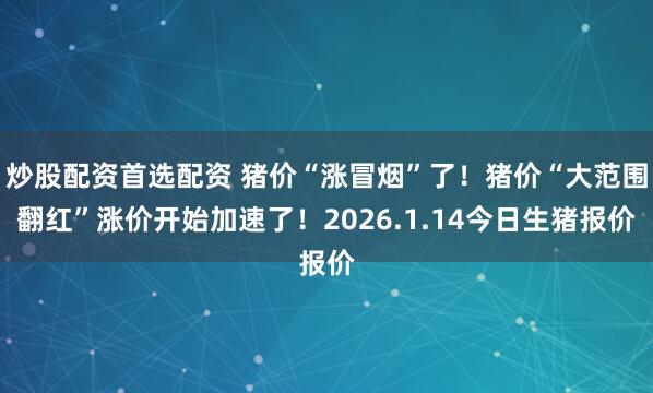 炒股配资首选配资 猪价“涨冒烟”了！猪价“大范围翻红”涨价开始加速了！2026.1.14今日生猪报价