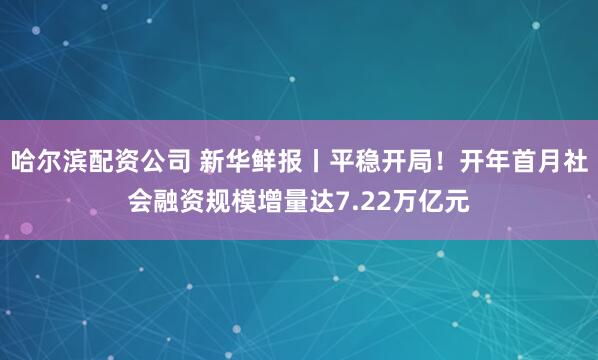 哈尔滨配资公司 新华鲜报丨平稳开局！开年首月社会融资规模增量达7.22万亿元